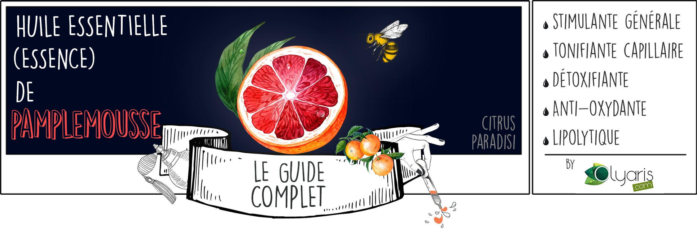 Huile Essentielle de Pamplemousse : le Guide Complet par Olyaris